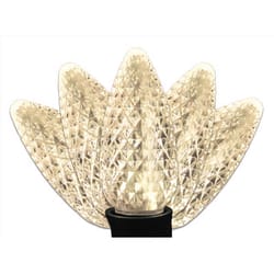 Celebrations Platinum LED C9 Warm White 25 ct String Christmas Lights 25 ft.