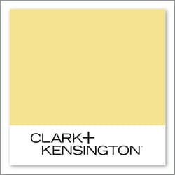 Clark+Kensington Mustard Flower 21D-3