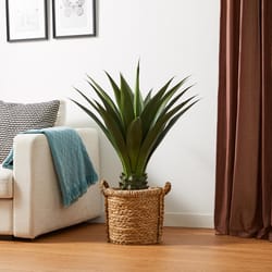Glitzhome Green Plastic 61 in. H X 39.25 in. L X 25.5 in. W Artificial Potted Plant