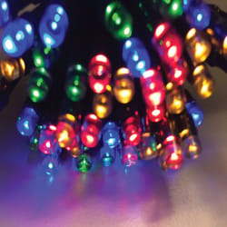 Celebrations LED Micro/5mm Multicolored 100 ct String Christmas Lights 16.24 ft.