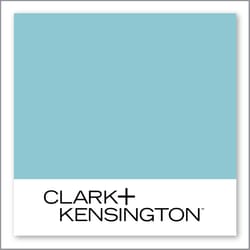 Clark+Kensington Gossamer Blue 34C-4