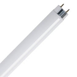 Pack of 24 Ace Fluorescent Bulb 