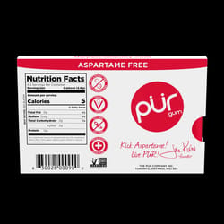 PUR Sugar Free Cinnamon Chewing Gum 1 pk 9 pc