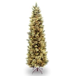 National Tree Company 7-1/2 ft. Slim Incandescent 600 ct Carolina Pine Christmas Tree