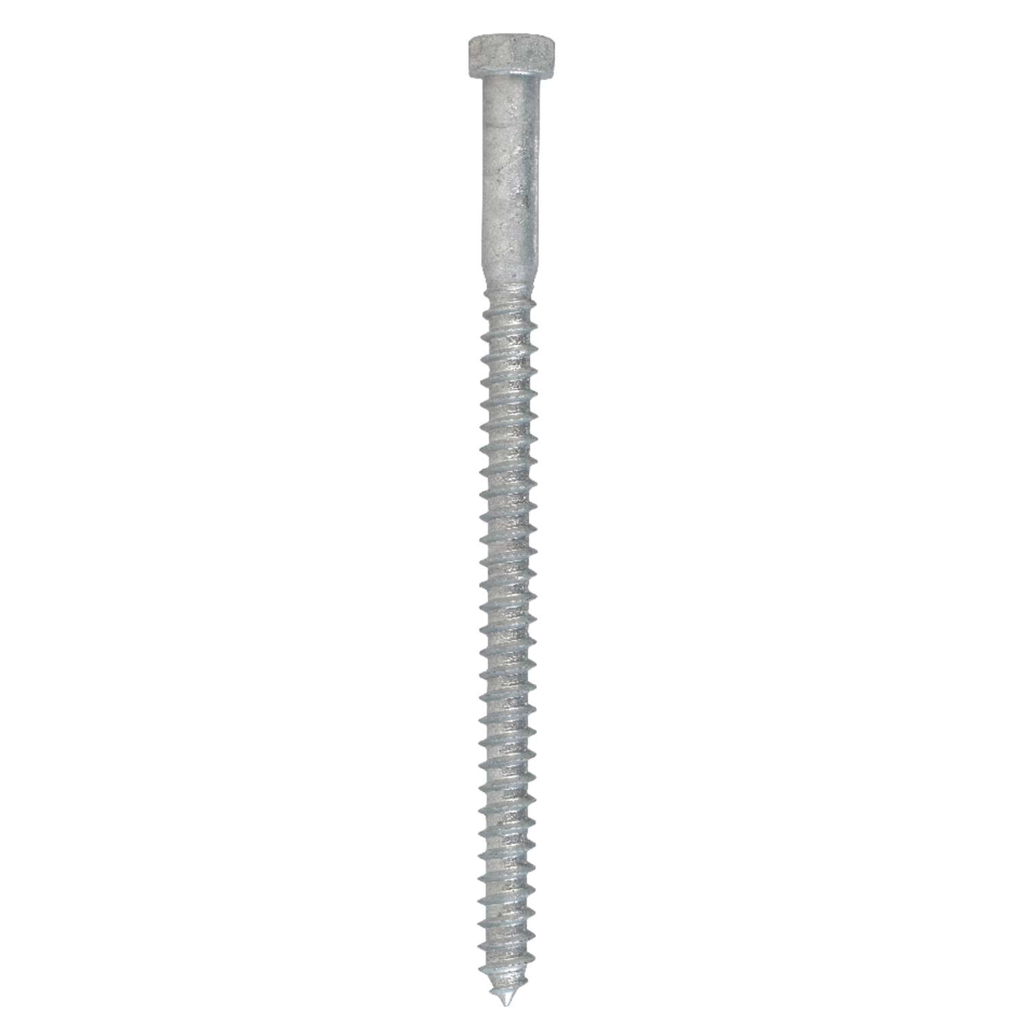 Hillman 3/8 in. X in. L Hex Hot Dipped Galvanized Steel Lag Screw 50 pk  Ace Hardware