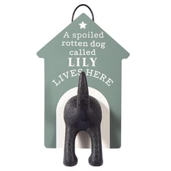 Dog Accessories Lily Dog Leash Hook 1 pk