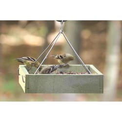 Birds Choice Wild Bird 2 qt Plastic Platform Bird Feeder 1 ports