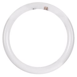 Feit T9 4-Pin LED Tube Light Color Changing 32 Watt Equivalence 1 pk