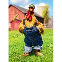 Avanti Press Chicken in Overalls Birthday Greeting Card Paper 1 pc