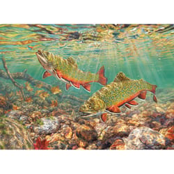 Cobble Hill Brook Trout Jigsaw Puzzle 1000 pc