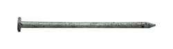 Pro-Fit 2-1/2 in. Common Hot-Dipped Galvanized Steel Nail Flat Head 5 lb