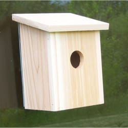 Songbird Essentials 8 in. H X 6.5 in. W X 5.5 in. L Wood Bird House