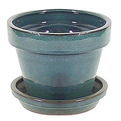 Border Concepts 6.75 in. H X 8.25 in. D Ceramic Planter Tropical Blue