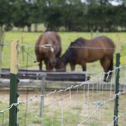 MAT Farmgard 67 in. H X 100 ft. L Galvanized Steel Horse Fence Silver