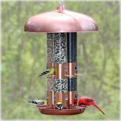 Perky-Pet Wild Bird 10 lb Plastic Bird Feeder 12 ports