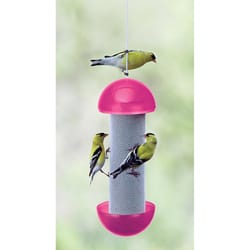 Cherry Valley Finch Plastic Thistle Tube Bird Feeder 1 ports