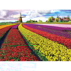 Eurographics Tulip Field - Netherlands Jigsaw Puzzle Multicolored 1000 pc