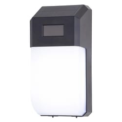 Dualux Motion-Sensing Solar Powered LED Black Security Light