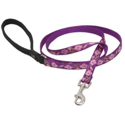 LupinePet Original Designs Multicolor Rose Garden Nylon Dog Leash