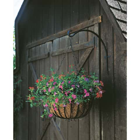 Panacea Black Iron 16 in. H Curved Plant Hook