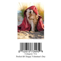 Avanti Press Dogs in Hoodie Greeting Cards Paper 1 pk