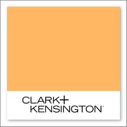 Clark+Kensington Dried Apricot 14D-4