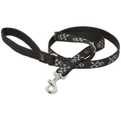 LupinePet Original Designs Multicolor Bling Bonz Nylon Dog Leash