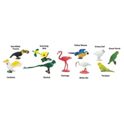 Safari Ltd. Toobs Exotic Birds Toy Multicolor 11 pc
