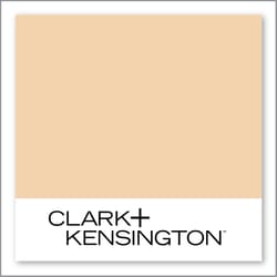 Clark+Kensington Persimmon Cream 14C-3