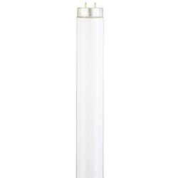 Westinghouse 40 W T12 48 in. L Fluorescent Bulb Cool White Linear 4100 K 1 pk