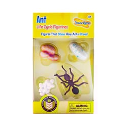 Insect Lore Ants Life Cycle Figurines Multicolored 4 pc