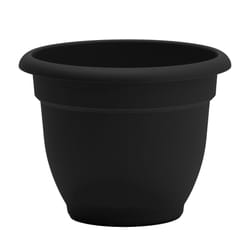 Bloem Ariana 8.5 in. H X 11 in. W Resin Traditional Planter Black