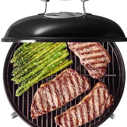 Weber Portable Grills at Ace Hardware - Ace Hardware