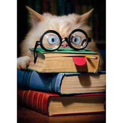 Avanti Seasonal Book Face Cat Graduation Card Paper 2 pc