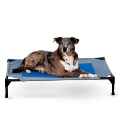 K&H Pet Prodcuts Coolin Blue/Gray Elevated Pet Bed 7 in. H X 30 in. W X 42 in. L