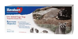 Animal Traps: Traps for Mice, Rats & Squirrels at Ace Hardware - Ace  Hardware