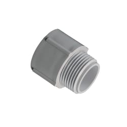 Cantex 1/2 in. D PVC Male Adapter For PVC 1 each