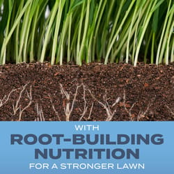 Scotts Turf Builder Kentucky Bluegrass Sun or Shade Fertilizer/Seed/Soil Improver 5.6 lb