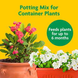 Miracle-Gro Flower and Plant Potting Mix 1 cu ft