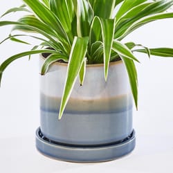 Chive Minute 5 in. D Ceramic Flower Pot Blue Layers