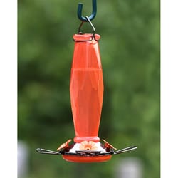 More Birds Oriole 15 oz Glass/Metal Prism Bird Feeder 4 ports