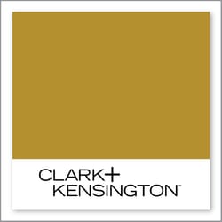 Clark+Kensington Wild Grassland 22B-7