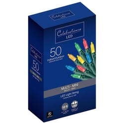 Celebrations Blue LED Mini Multicolored 50 ct String Christmas Lights 12 ft.