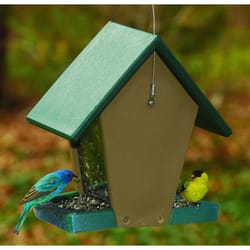 Songbird Essentials Songbird Essentials Wild Bird 1.5 qt Plastic Hopper Feeder Bird Feeder
