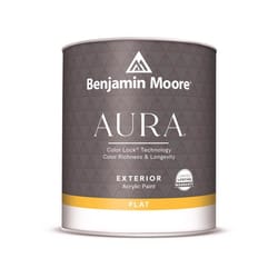 Benjamin Moore Aura Exterior Flat White Paint Exterior 1 qt
