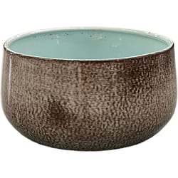 Robert Allen 6 in. D Steel Mini Bella Bowl Planter Spearmint