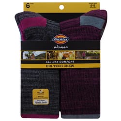 Dickies Dri-Tech Women's 6-9 Crew Socks Assorted