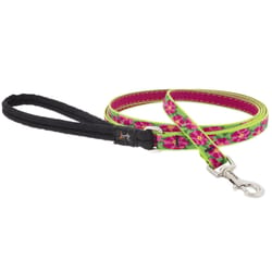 LupinePet Original Multicolored Petunias Nylon Cat Leash