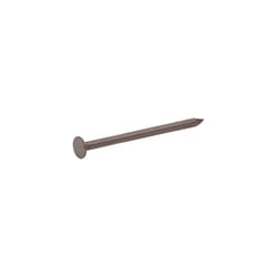 Grip-Rite Primeguard Max Fasteners 1 1/4 in. Trim Coated Stainless Steel Nail Flat Head 1 lb