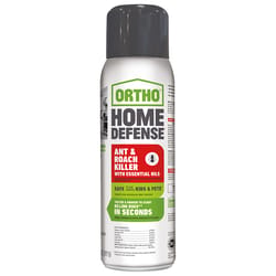 Ortho Home Defense Ant and Roach Killer Liquid 14 oz